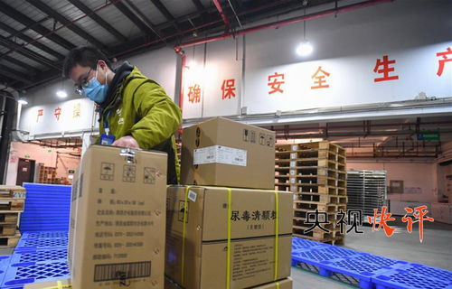 统筹推进经济社会发展各项任务中社会经济咨询服务的角色与价值